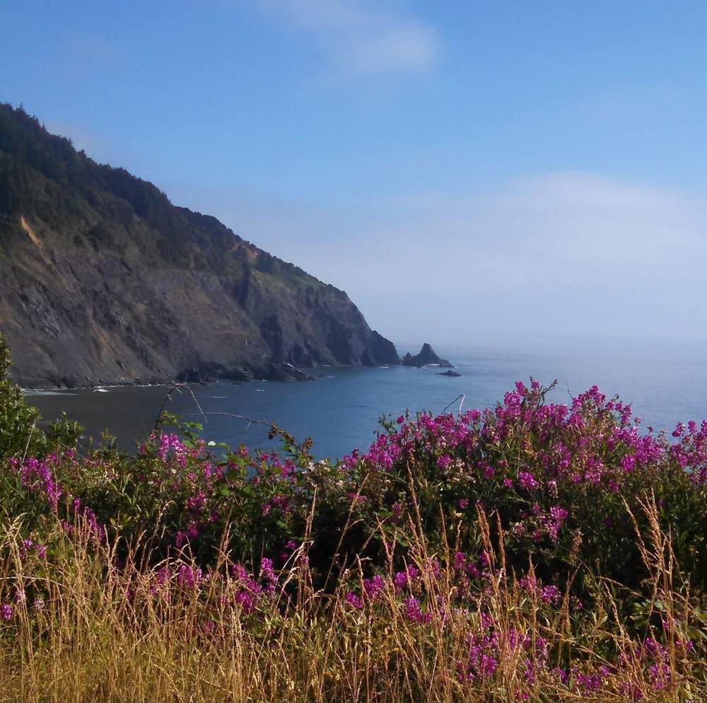 Meet your Posher, Carol